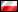Domino - Polski